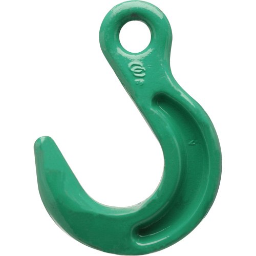Crochet de fonderie &agrave; œil Cam-Alloy Distribution Industrielle GC