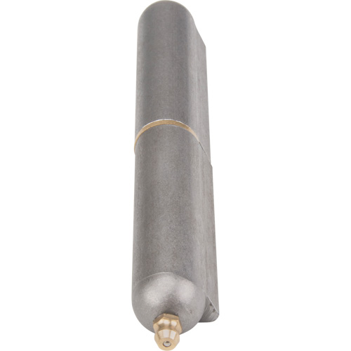 Weld-On Hinge, 0.787" Dia. x 5.906" L, Mild Steel w/Fixed Steel Pin Distribution Industrielle GC