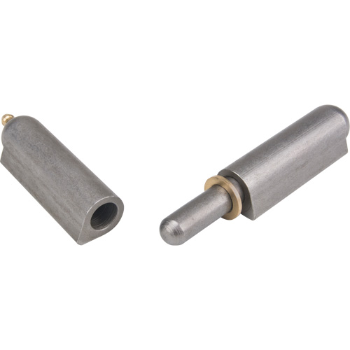 Weld-On Hinge, 0.787" Dia. x 5.906" L, Mild Steel w/Fixed Steel Pin Distribution Industrielle GC