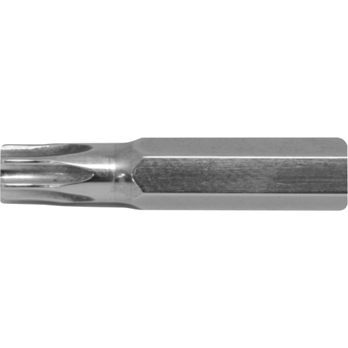 Embout de rechange pour tournevis multi embouts Stubby, Torx, 6, Prise 1/4" Distribution Industrielle GC