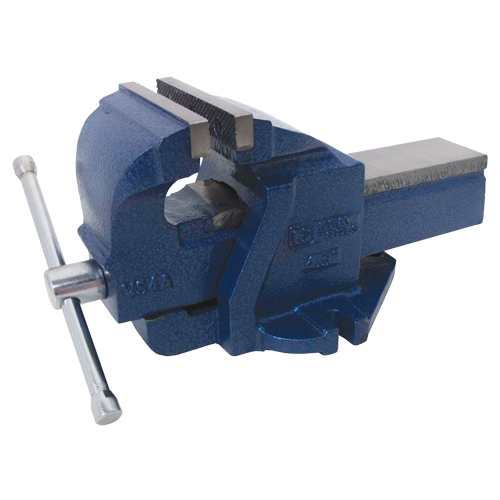 Ductile Iron Mechanics Bench Vise, 4-1/2" Jaw Width, 2-3/5" Throat Depth Distribution Industrielle GC