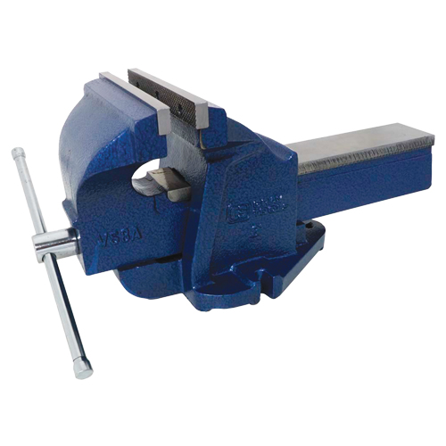 Ductile Iron Mechanics Bench Vise, 8" Jaw Width, 4" Throat Depth Distribution Industrielle GC