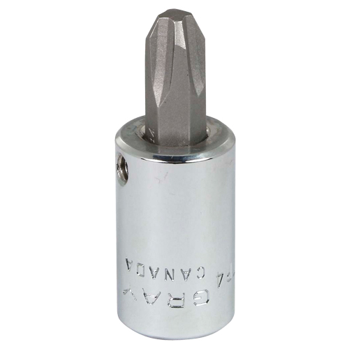 Head Socket, Phillips, #4 x 1.93" L, 3/8" Square Drive Drive Distribution Industrielle GC