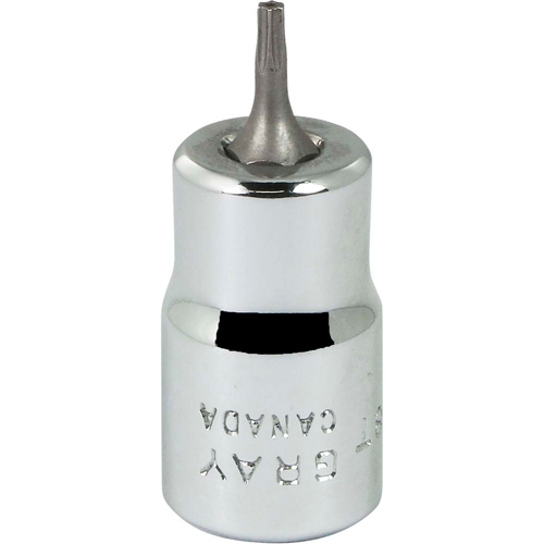 Bit Socket, Torx&reg;, T8 x 2-1/8" L, 3/8" Drive Distribution Industrielle GC