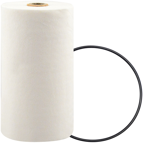 P7247 Filtre pour liquide de refroidissement &agrave; visser avec additif BTE Distribution Industrielle GC