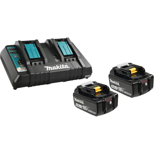 Li-Ion Battery & Dual-Port Charger Kit, 18 V, Lithium-Ion Distribution Industrielle GC