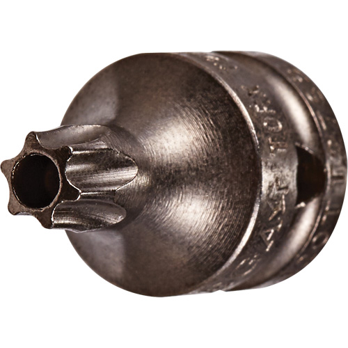 Embout &agrave; ins&eacute;rer, Torx inviolable, 8 x 3/4" lo, Prise 1/4" Distribution Industrielle GC