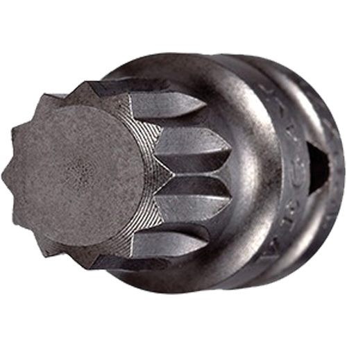 Embout &agrave; ins&eacute;rer, Triple carr&eacute;, 5 x 3/4" lo, Prise 1/4" Distribution Industrielle GC