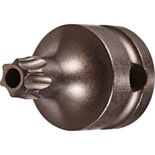 Embout &agrave; ins&eacute;rer, Torx inviolable, 25 x 1" lo, Prise 3/8" Distribution Industrielle GC