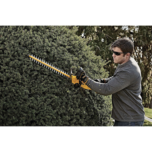 Taille-haie sans fil Max, 22", 20 V, &agrave; pile Distribution Industrielle GC