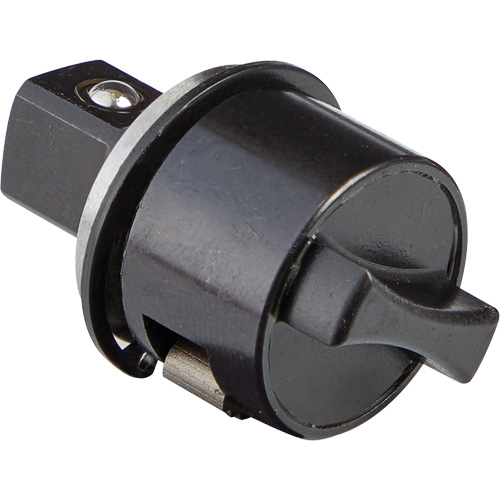 Ensemble de cliquet de rechange &agrave; pommeau de levier M12 Fuel 3/8" Distribution Industrielle GC