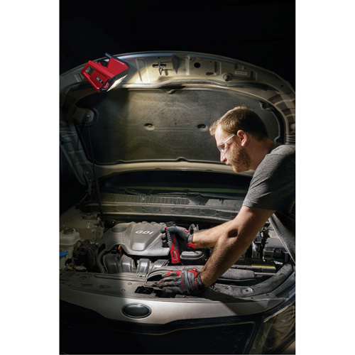 Projecteur d'illumination montable M12 ROVER, DEL, 250 W, 1000 lumens Distribution Industrielle GC