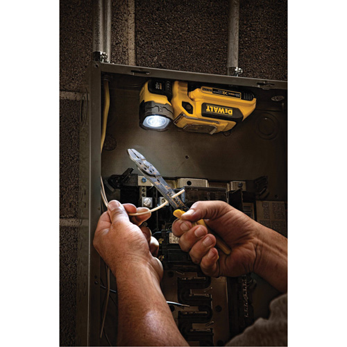 Lampe de travail portative Max*, DEL, 160 Lumens Distribution Industrielle GC