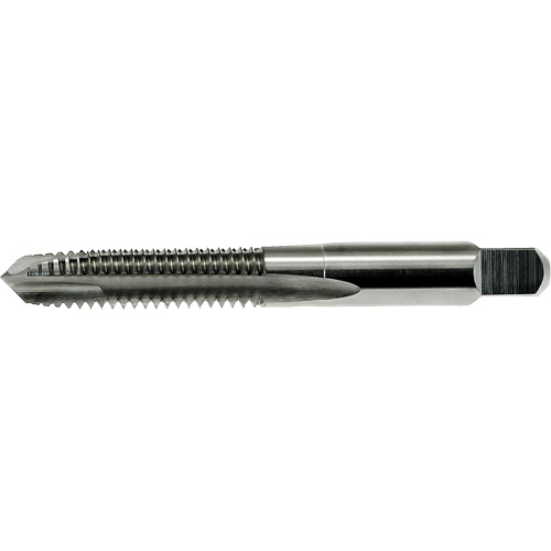 Taraud &agrave; pointe spiral&eacute;e DRILLCO, Acier rapide, Filet de M1,6x0,35 Distribution Industrielle GC