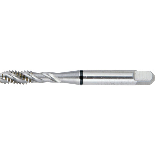 Taraud BT super haute performance &agrave; cannelure spiral&eacute;e DRILLCO, Acier rapide, Filet de 5/16"-24, 2-23/32" l Distribution Industrielle GC