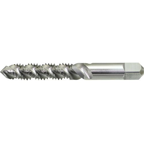 Taraud &agrave; main &agrave; cannelure spiral&eacute;e DRILLCO, Acier rapide, Filet 1/4"-20 Distribution Industrielle GC