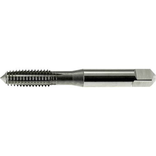 Taraud &agrave; former les filets DRILLCO, Acier rapide, Filet 0-80 Distribution Industrielle GC
