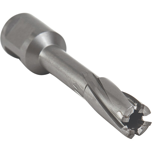 Outil de coupe annulaire avec mandrin soud&eacute;, Diam&egrave;tre de 12 mm, Carbure, Profondeur de la coupe de 55 mm, Tige 3/4" Distribution Industrielle GC