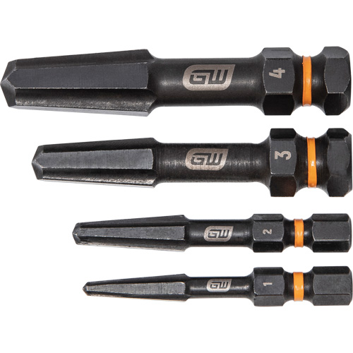Bolt Biter Screw Extractor Set, High Speed Steel, 4 Pieces Distribution Industrielle GC