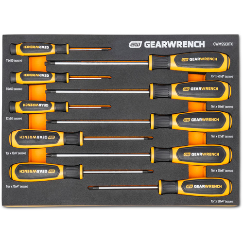 Jeu de tournevis bimat&eacute;riau Torx dans un plateau de rangement en mousse, 10 mcx Distribution Industrielle GC