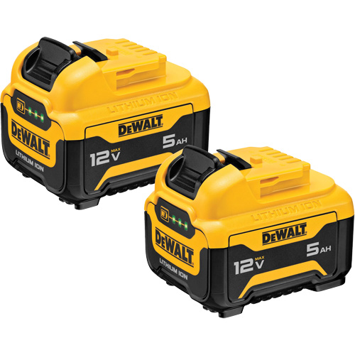 Max* Battery Packs, Lithium-Ion, 12 V, 5 Ah Distribution Industrielle GC