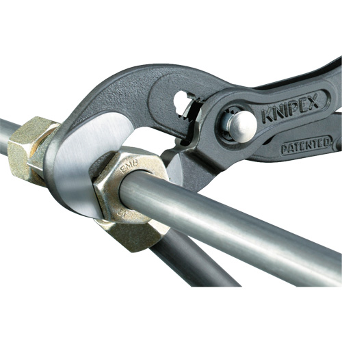 Raptor Pliers, 10" Distribution Industrielle GC
