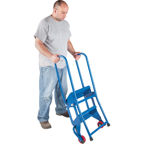 Portable Folding Ladder, 2 Steps, Perforated, 20" High Distribution Industrielle GC