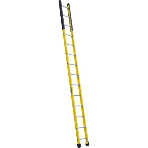 &eacute;chelle &eacute;troite pour trou d'homme, 14', Fibre de verre, 375 lb, CSA calibre 1AA Distribution Industrielle GC
