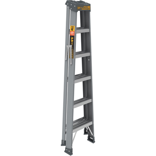 Escabeau, 6', Fibre de verre, Capacit&eacute; 225 lb, Type 2 Distribution Industrielle GC