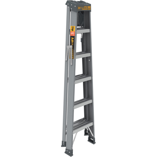 Step Ladder with Paint Tray, 6', Fibreglass, 225 lbs. Capacity, Type 2 Distribution Industrielle GC