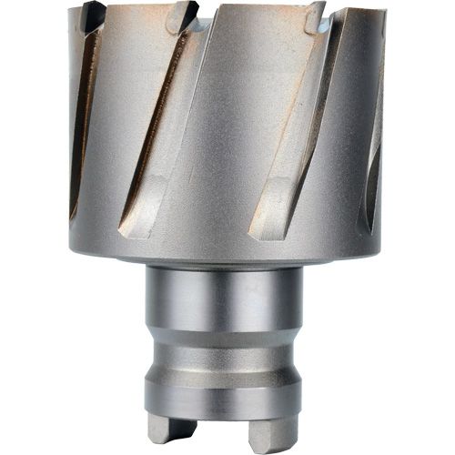 Quick Change Tang Drive Hawg&reg; Cutter, 2" Diameter, Steel, 1" Depth of Cut Distribution Industrielle GC