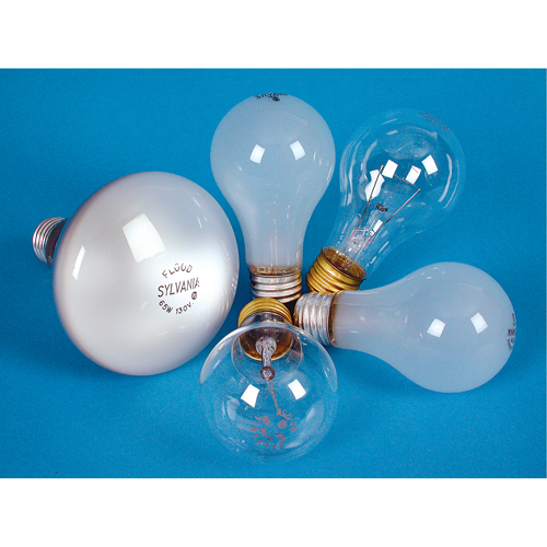 LAMPE INCANDESCENTE,25W,130V,GIVREE,2/PQT Distribution Industrielle GC