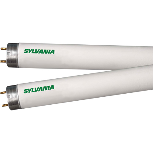 Lampes fluorescentes, 32 W, T8, 4100 K, Longueur de 48" Distribution Industrielle GC