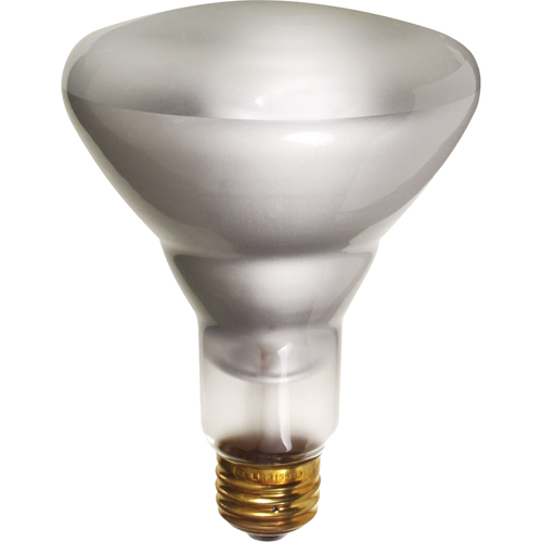 Lampes &agrave; incandescence &eacute;conomiques Distribution Industrielle GC