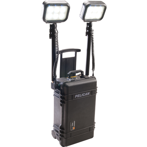 Syst&egrave;mes d'&eacute;clairage pour zones recul&eacute;es 9460, DEL, 12 000 lumens, Boîtier en Plastique Distribution Industrielle GC