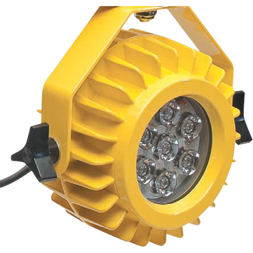 Lampe robuste DEL pour les quais - t&ecirc;te seulement Distribution Industrielle GC
