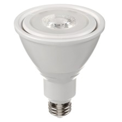 Ampoule DEL, PAR30, 10 W, 800 lumens, base Moyen Distribution Industrielle GC