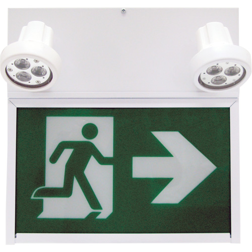 Enseigne de sortie coureur, DEL, &agrave; piles/&agrave; raccordement fixe, 12" lo x 12 1/2" la, Pictogramme Distribution Industrielle GC
