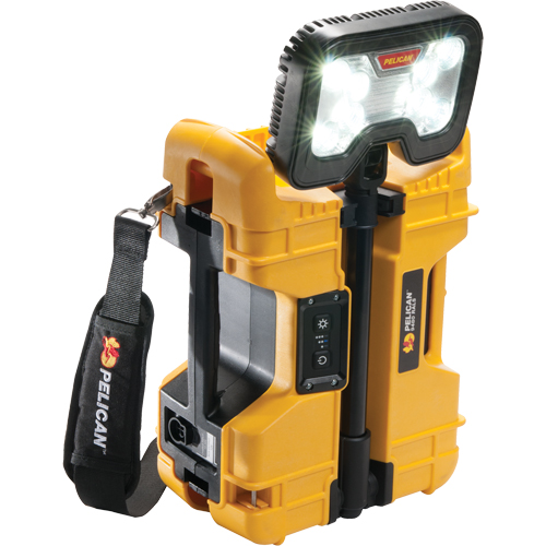 Syst&egrave;mes d'&eacute;clairage &agrave; distance 9480, DEL, 41,1 W, 4000 lumens, Boîtier en Plastique Distribution Industrielle GC