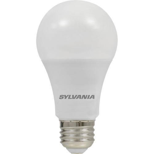 Ampoule DEL, A19, 8,5 W, 800 lumens, base Moyen Distribution Industrielle GC