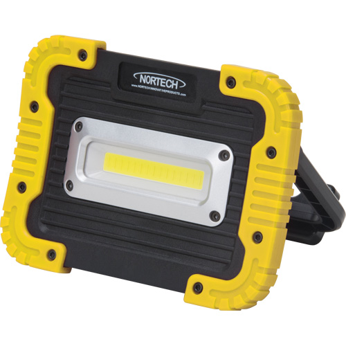 Lampe de travail portative, DEL, 10 W, 1000 lumens, Boîtier en Plastique Distribution Industrielle GC
