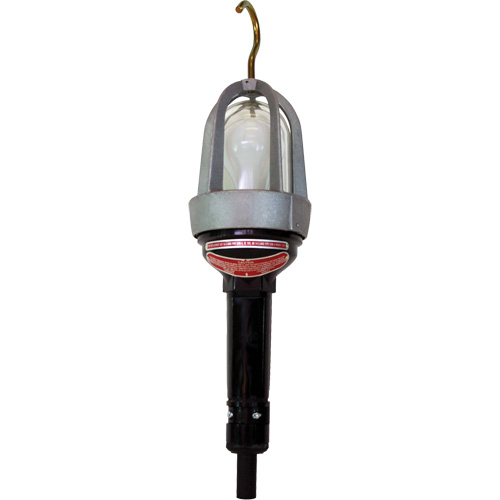 Baladeuses pour emplacements dangereux Distribution Industrielle GC