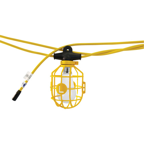Guirlande &eacute;lectrique &agrave; DEL avec connecteur, 10 Lumi&egrave;res, 100' lo, Boîtier en Plastique Distribution Industrielle GC