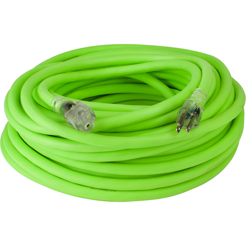 Cordon rallonge industriel Flexzilla Pro, Toutes saisons, SJTW, AWG 10/3, 15 A, 100' Distribution Industrielle GC