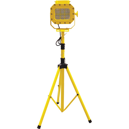 Explosion Proof Floodlight with Tripod, LED, 40 W, 5600 Lumens, Aluminum Housing Distribution Industrielle GC