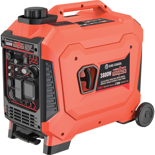 Dual Fuel Gasoline & Propane Digital Inverter Generator Distribution Industrielle GC