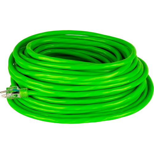 Cordon rallonge de calibre industriel, Toutes saisons, SJTW, AWG 10/3, 15 A, 100' Distribution Industrielle GC
