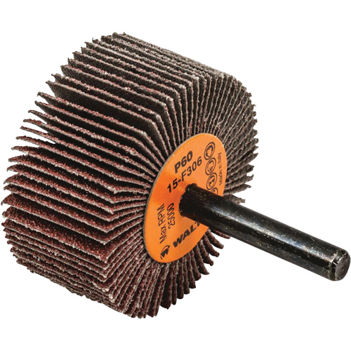 Disque &agrave; lamelles Coolcut, Oxyde d'aluminium, Grain 60, 2" x 1" x 1/4" Distribution Industrielle GC