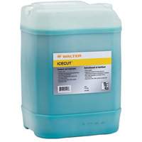 ICECUT Ready-to-Use Coolant and Lubricant, 20 L Distribution Industrielle GC
