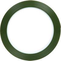 Ruban en polyester, Polyester, 25,4 mm (1") la x 66 m (216') lo, 1,9 mils &eacute;pais Distribution Industrielle GC